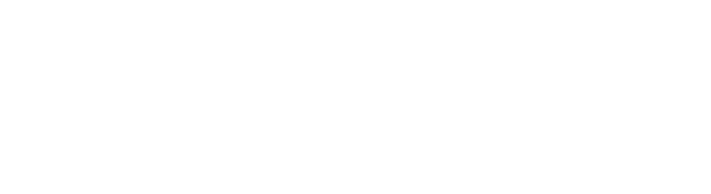 VITURE